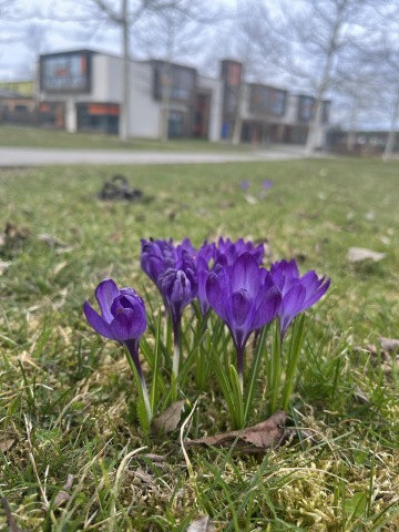 Páteční informace z gymnázia Open Gate