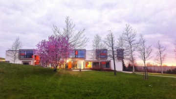 Filmový festival 2019